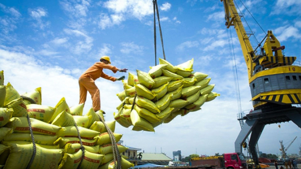 Vietnam's rice exports surpass 165 million USD in early January