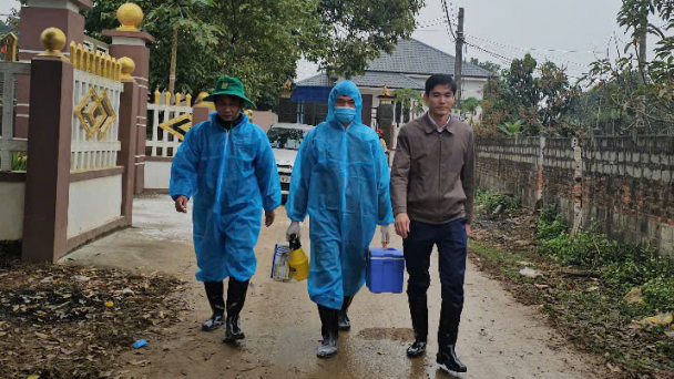 Khống chế, dập tắt ổ dịch lở mồm long móng tại Thanh Hóa sau 10 ngày