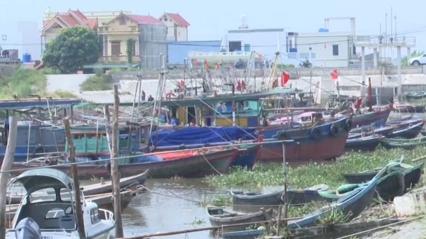 Thái Bình: Di dời người dân ở khu vực nguy hiểm