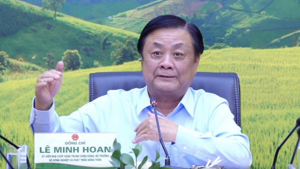 Minister Le Minh Hoan: Agriculture in the first nine months shows many positive signs