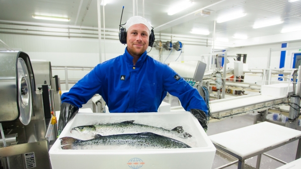 Vietnam imported 60,900 tons of Norwegian seafood in 10 months