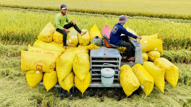 Bản tin Truyền hình Nông nghiệp trưa 7/8/2021