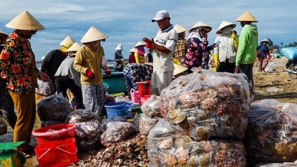 Đề xuất cấm khai thác loại nhuyễn thể 2 mảnh vỏ non