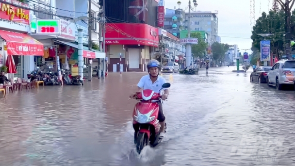 Cần Thơ, Vĩnh Long có nguy cơ ngập nặng do triều cường cuối tháng 10