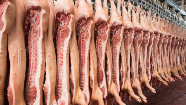 Vietnam's pork production expected to surpass 3.8 million tons in 2025