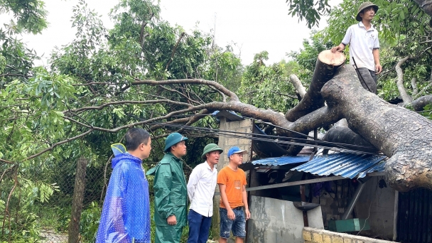 Cây đổ la liệt, ruộng đồng xác xơ do mưa bão