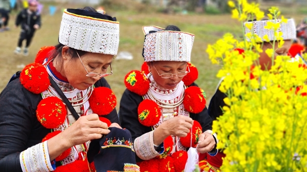 Về xứ Tuyên ở nhà trên núi