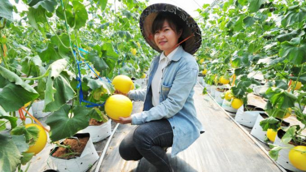 Đến cuối năm, Đồng Tháp có 1 huyện và 20 xã nông thôn mới