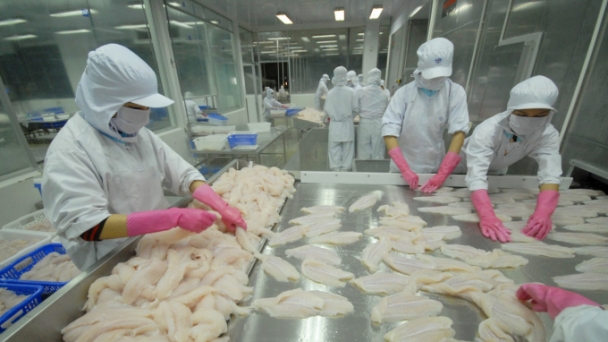 Enterprises’ access to Eastern European seafood market