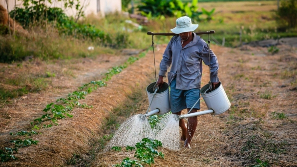 Thu nhập của lao động ngành nông, lâm, thủy sản Quý III tăng chậm