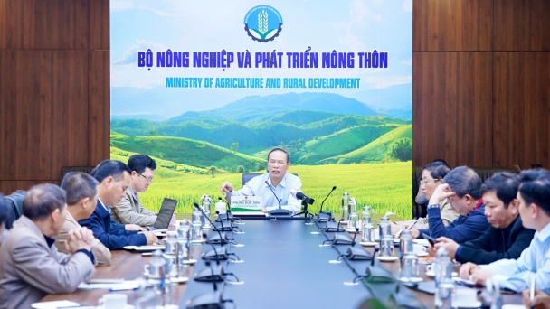 Tập trung triển khai 5 đề án rường cột để phát triển ngành chăn nuôi