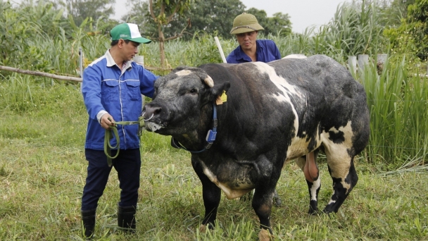 Vai trò khoa học và công nghệ trong nâng cao sức cạnh tranh doanh nghiệp