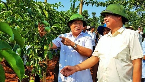 Giải pháp đột phá chuyển tư duy sản xuất nông nghiệp sang kinh tế nông nghiệp