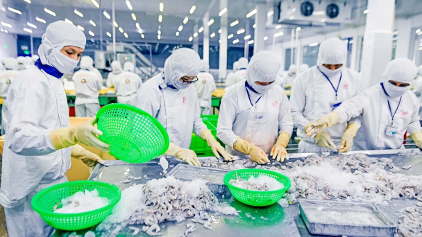 Nhiều kiến nghị khơi thông vốn cho ngành thủy sản
