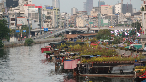 Rực rỡ sắc xuân 'Trên bến dưới thuyền' ở bến Bình Đông
