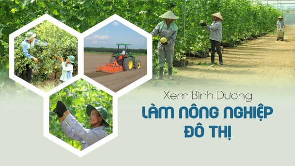 Xem Bình Dương làm nông nghiệp đô thị