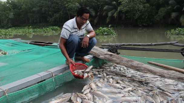 Cá chết nổi trắng bè trên sông Sài Gòn