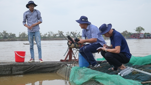 Giám định chất lượng nước, giúp người nuôi cá lồng sớm tái sản xuất