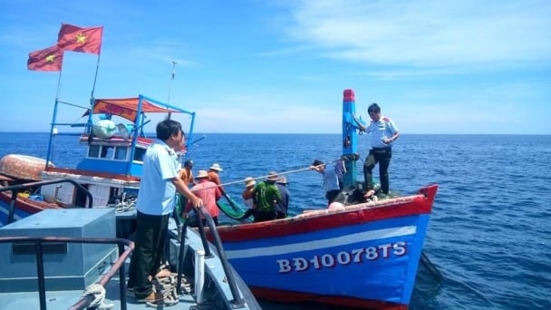 Chống khai thác IUU: Bình Định quyết tâm xóa tàu cá '3 không'
