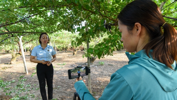 Hai Phong Agricultural Extension uses AI to produce educational clips