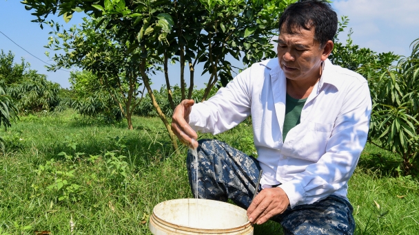 Lão nông tự tạo chế phẩm tăng độ bám dính thuốc bảo vệ thực vật