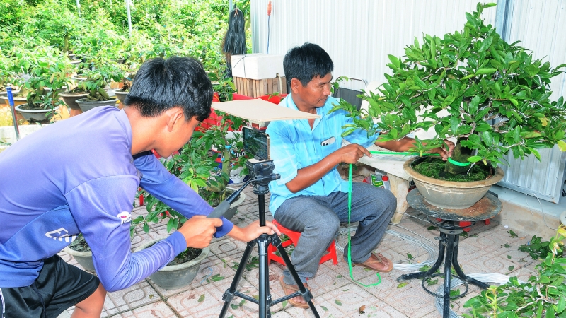 Nông dân Chợ Lách tự tin bán hoa kiểng qua mạng xã hội