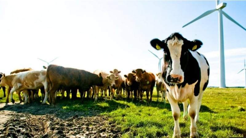 Low carbon farming 'essential' for climate goals