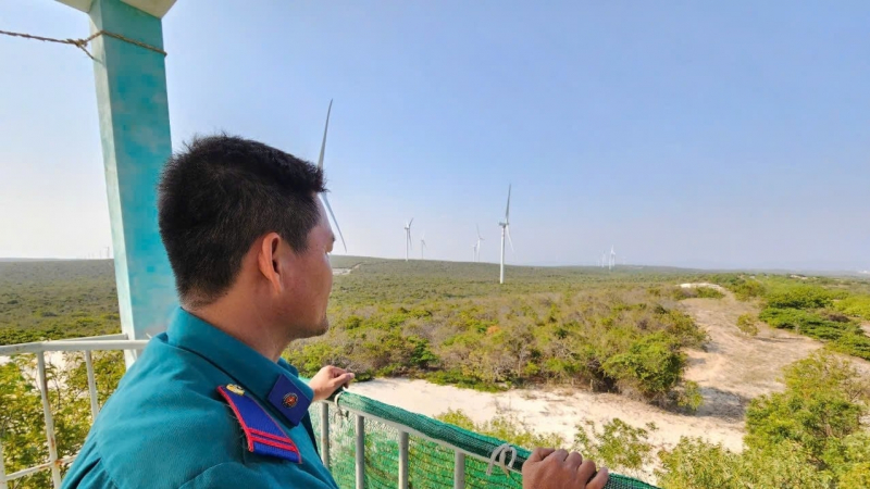 Bình Thuận căng sức phòng chống cháy rừng