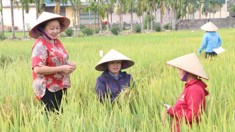 Nữ kỹ sư đam mê với 'hạt ngọc trời'