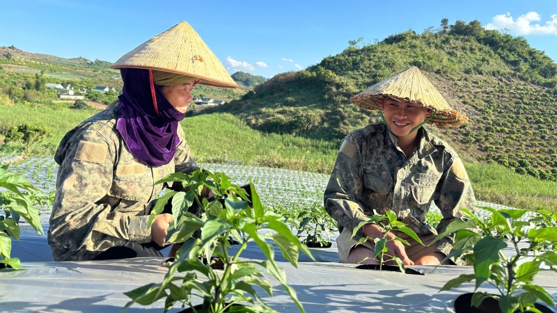 Hướng sản phẩm cây vụ Đông tới xuất khẩu