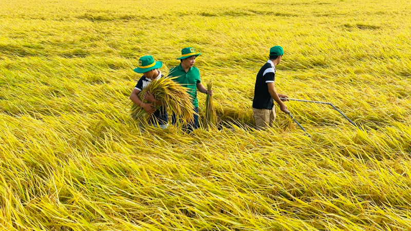 Trái phiếu xanh cho nông nghiệp: Huy động tài chính cho các sáng kiến chuyển đổi