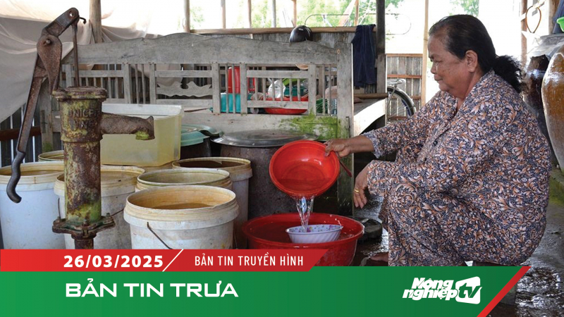 Cà Mau: Hàng trăm hộ gia đình bị thiếu nước sinh hoạt