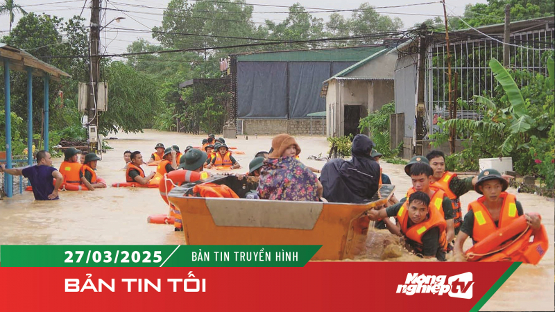 Việt Nam cần chiến lược sơ tán an toàn trong thiên tai