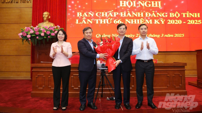 Ông Vũ Quyết Tiến làm Phó Bí thư Tỉnh ủy Quảng Ninh