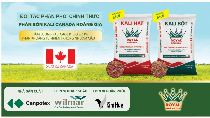 Kali Canada Hoàng Gia đồng hành cùng nông dân Thanh Hóa vụ Chiêm Xuân