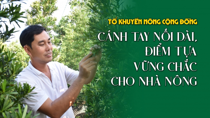 Tổ Khuyến nông cộng đồng - Cánh tay nối dài, điểm tựa cho nhà nông