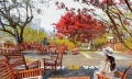 Cây phong lá đỏ 115 tuổi hút du khách ở Sa Pa