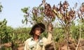 Đắk Nông: Nguy cơ gần 31.000ha cây trồng bị hạn