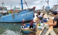 Ngư dân Bình Thuận kỳ vọng vụ cá Nam