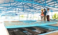 100% xã ở Cần Thơ đạt tiêu chí nước sạch trong xây dựng NTM