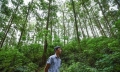 Bắc Giang chi trả 3,4 tỷ đồng tiền dịch vụ môi trường rừng