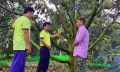 Chia sẻ phân bón công nghệ polyphosphate chuyên cho cây sầu riêng