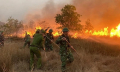 Quảng Bình liên tiếp xảy ra các vụ cháy rừng