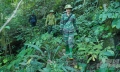 Kỳ bí rừng Nam Xuân Lạc: [Bài 2] Chuyến đi xuyên 18km đường rừng