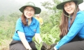 Trồng 33.000 cây xanh tại Vườn quốc gia Xuân Sơn
