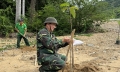 Vườn quốc gia Côn Đảo trồng cây nhân ngày Môi trường thế giới