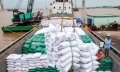 Xuất khẩu gạo sang Philippines sẽ ra sao khi nước này sửa luật về gạo