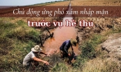 Chủ động ứng phó xâm nhập mặn trước vụ hè thu