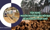 Tận dụng nguồn nguyên liệu nội địa để ngành gỗ vượt khó