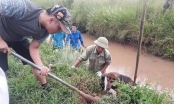 Mỗi năm Bắc Giang có 1.400 - 1.700ha cây trồng bị chuột hại